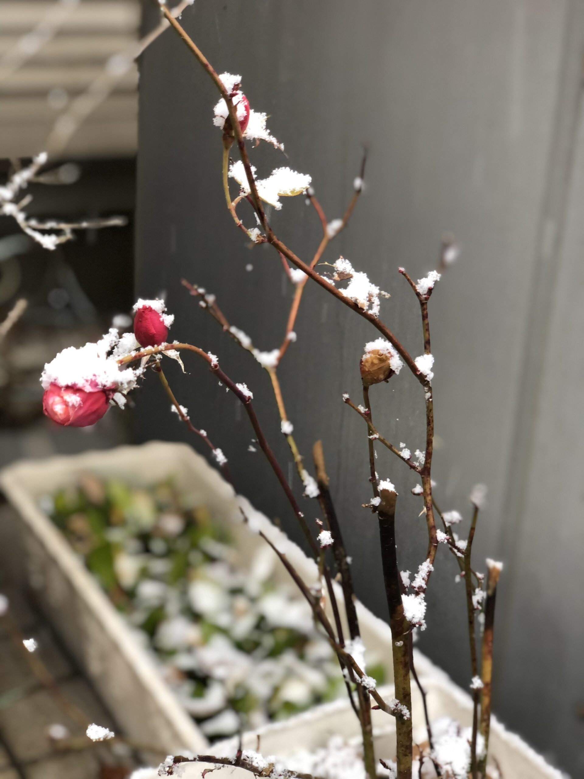 専用端末の価値