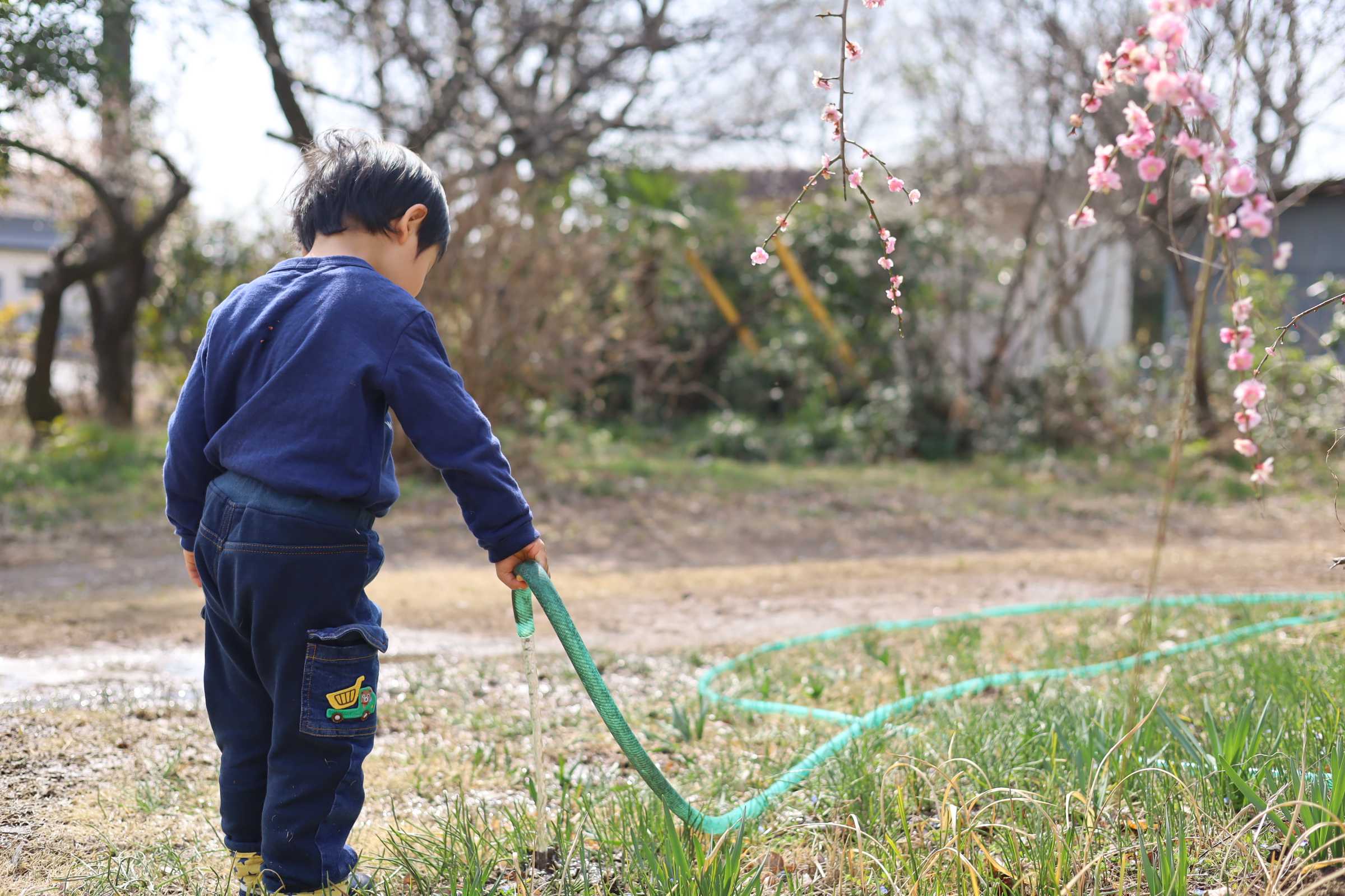 別れの3月
